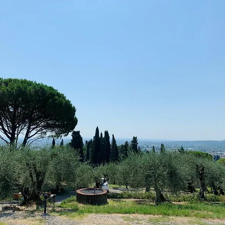 Cozy Tuscany With View Apartment